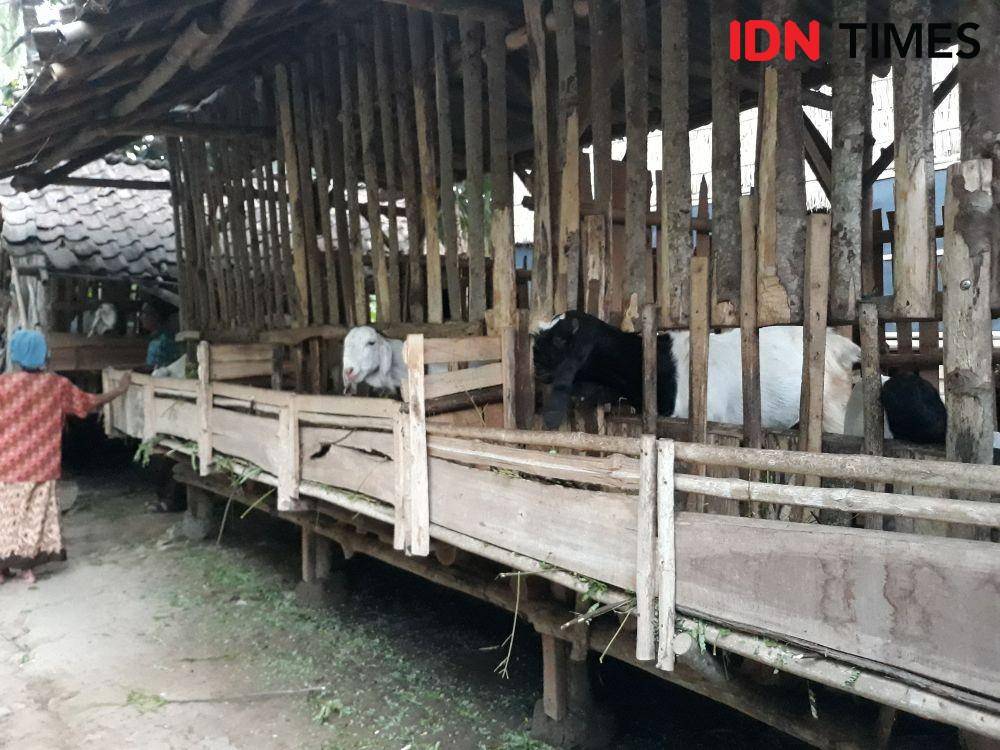 IDN Times/Indiana Malia