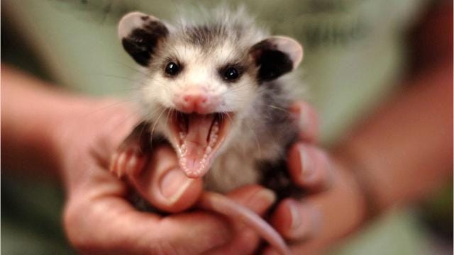 poughkeepsiejournal.com