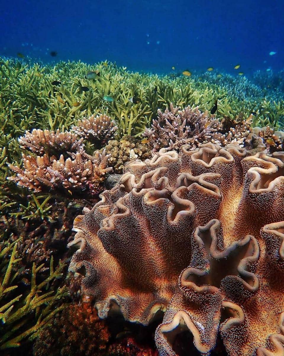 instagram.com/kakabantrip