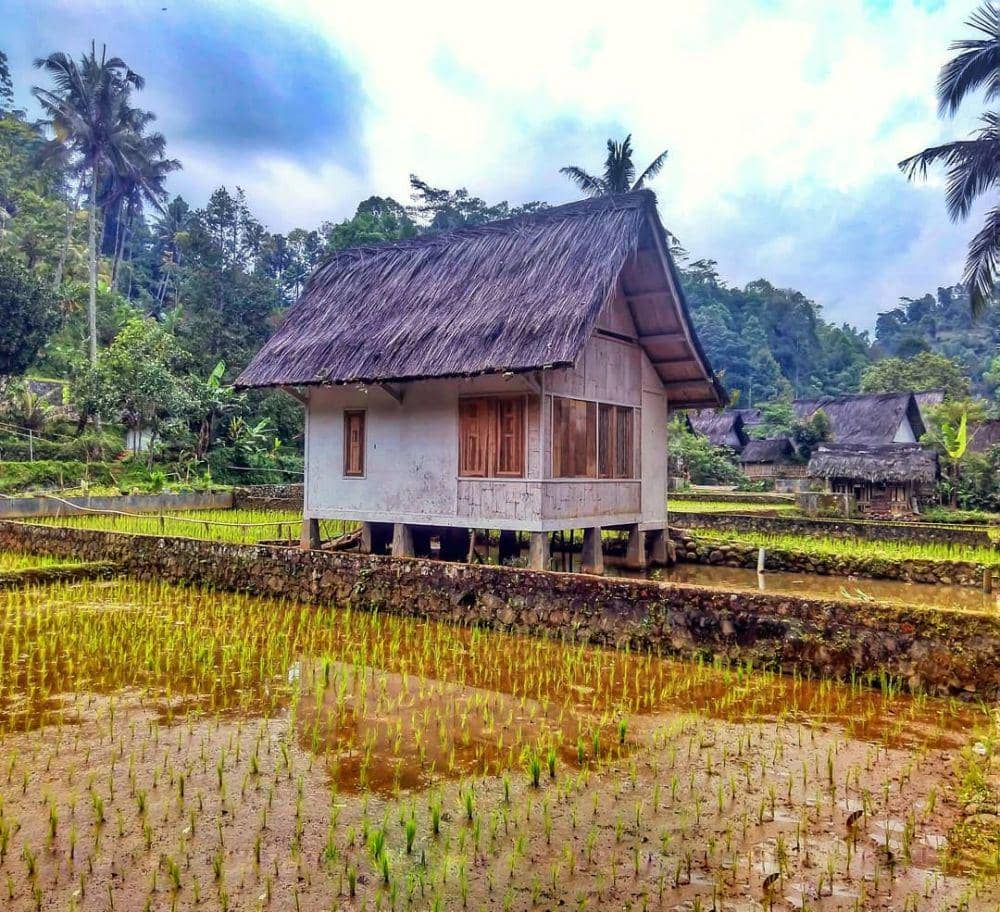 instagram.com/caesarinodnsr/