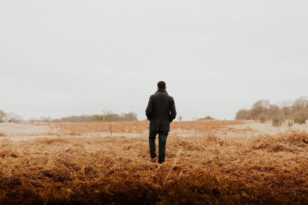 unsplash/Alekon Pictures