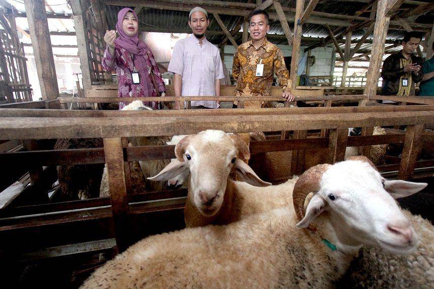 ANTARA FOTO/Yulius Satria Wijaya
