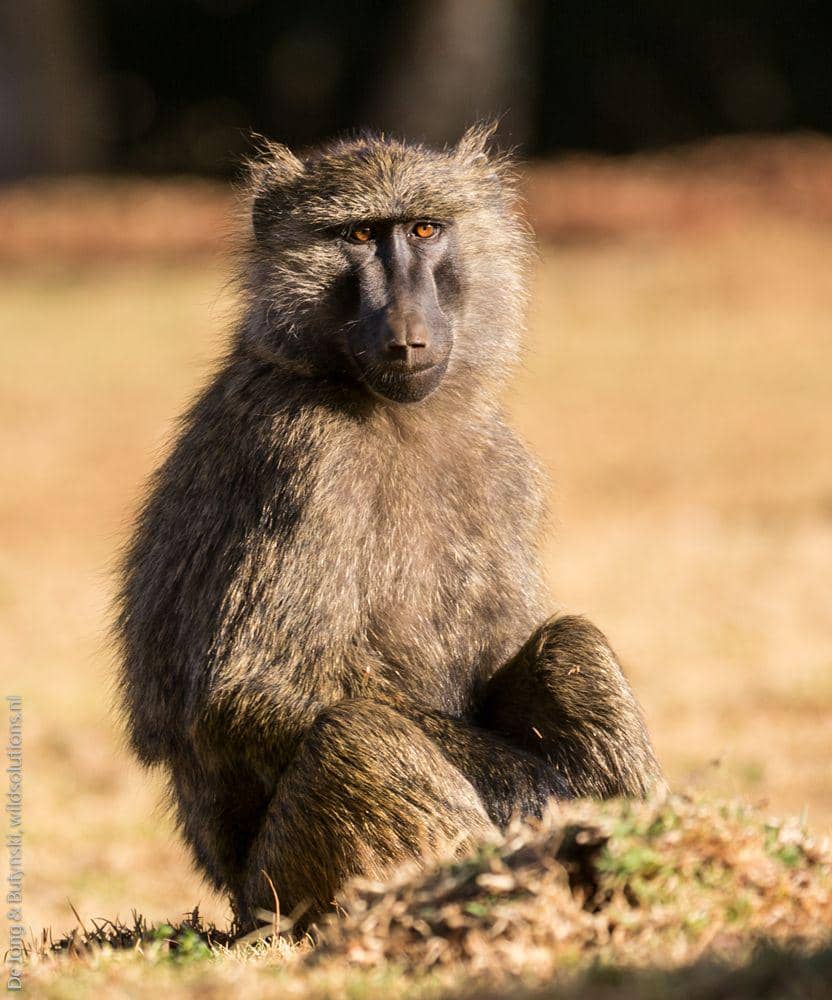 blog.nationalgeographic.org