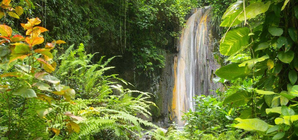 castlesinparadise.com