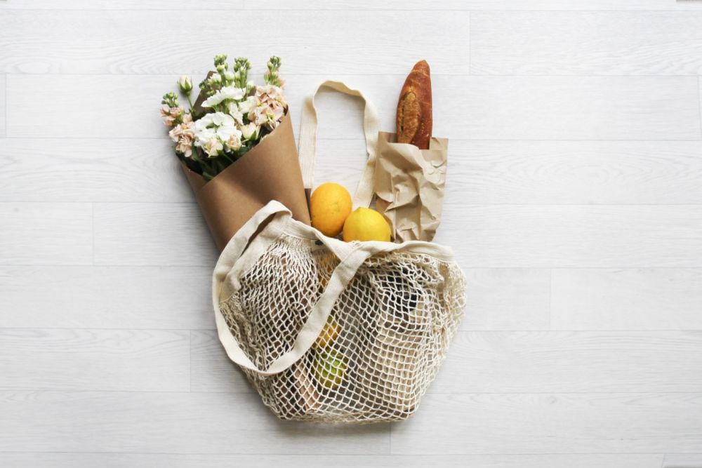 ecowarriorprincess.net