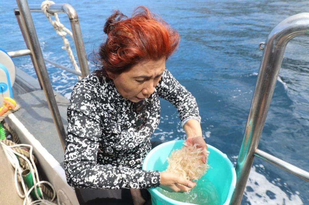 Dok.IDN Times/Istimewa