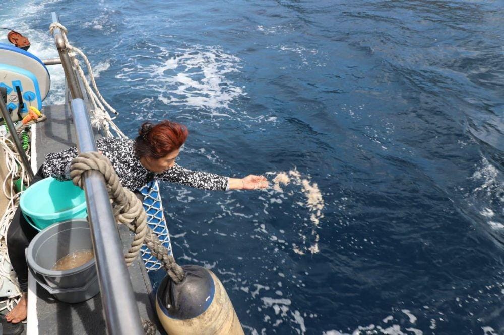 Dok. IDN Times/Istimewa