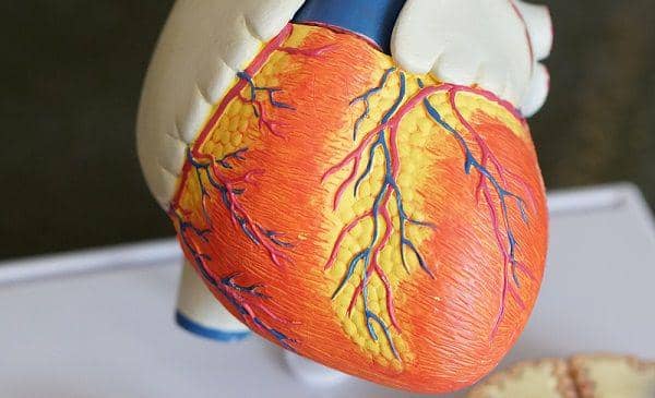 unsplash.com/Robina Weermeijer