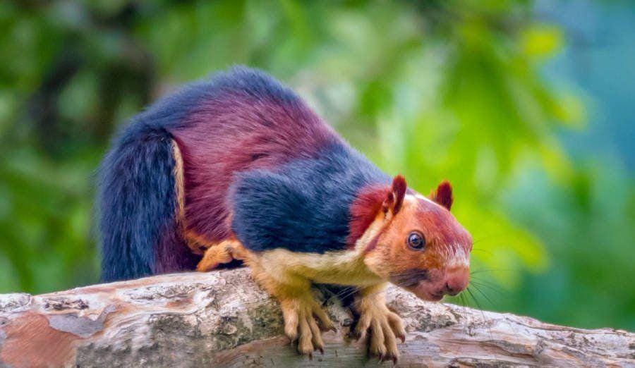 allthatsinteresting.com