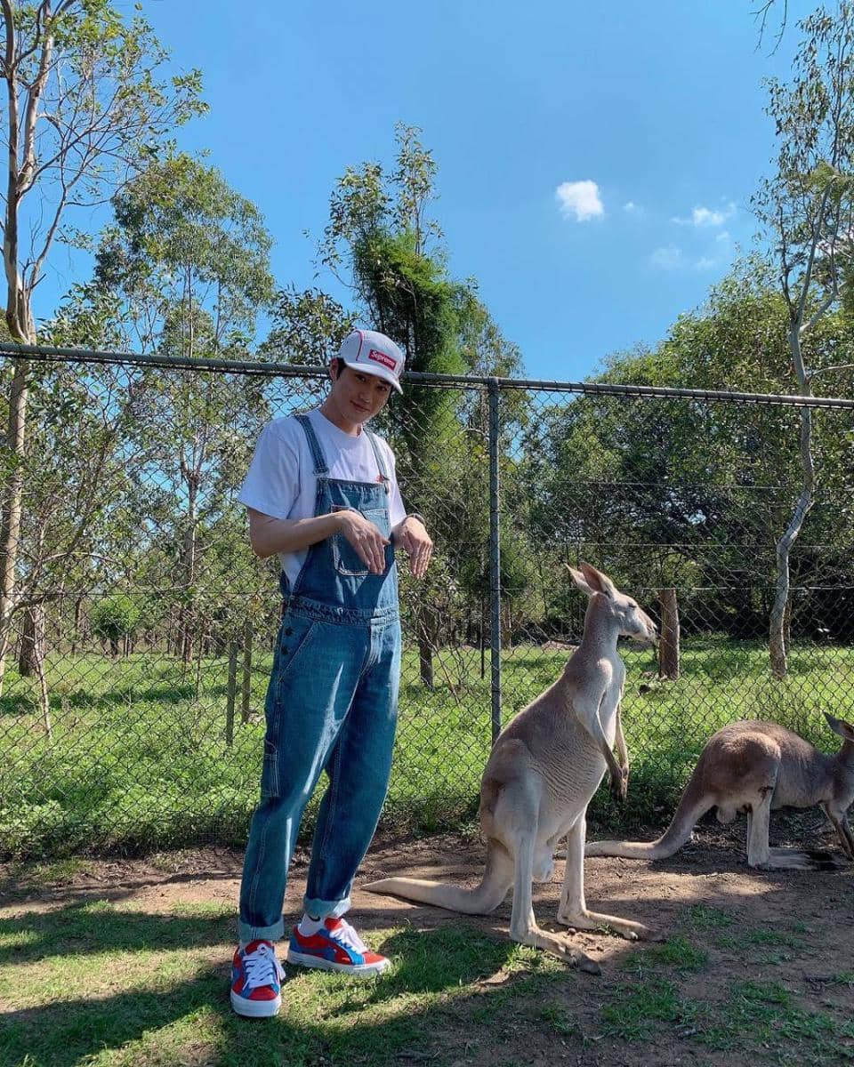 Instagram.com/kimjuncotton