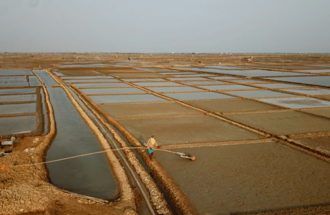 ANTARA FOTO/Dedhez Anggara