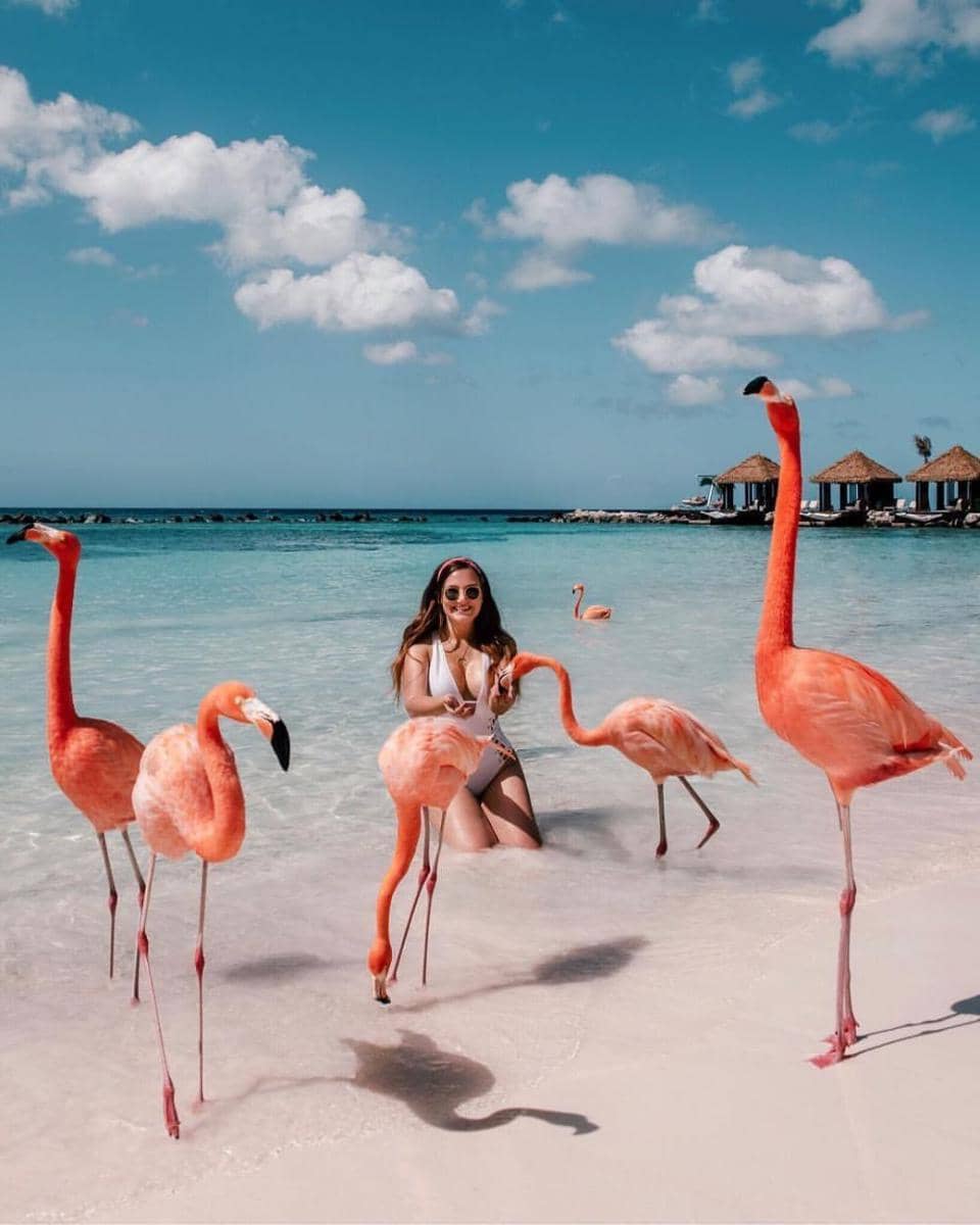 Instagram.com/adaras