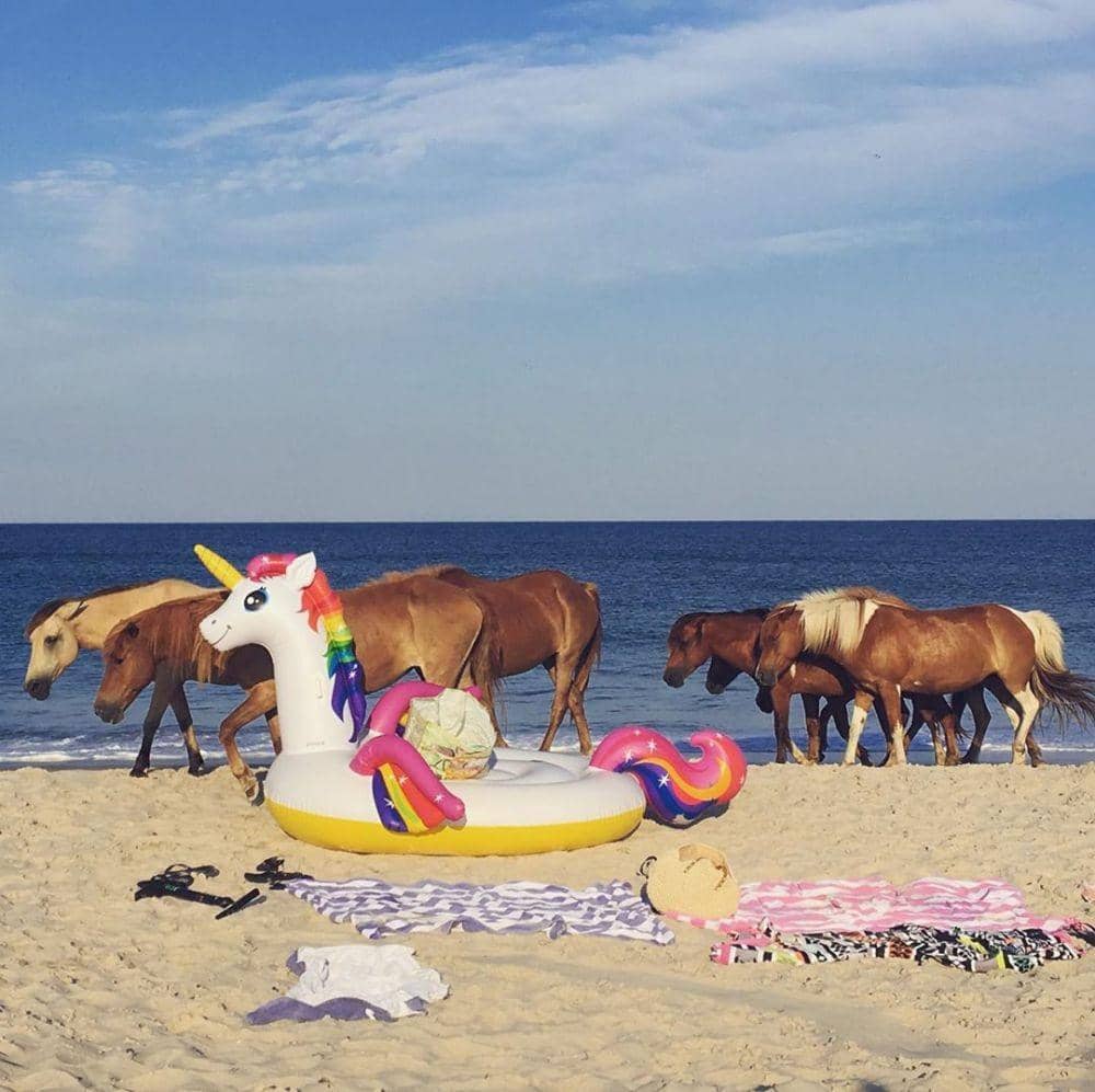 Instagram.com/ahri81