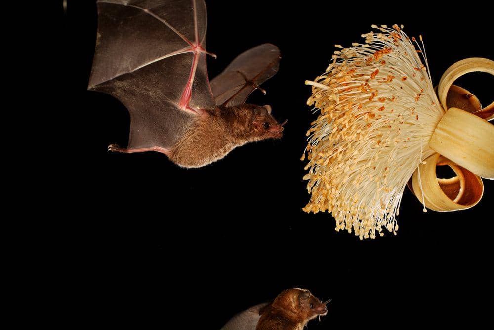 nationalgeographic.com