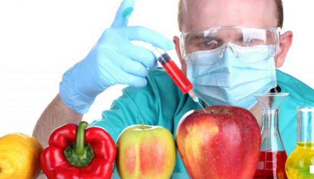 bestbrooklynbrunch.com