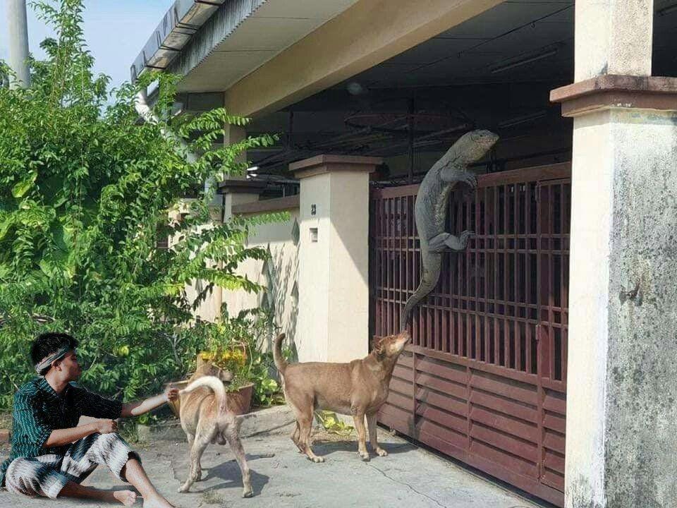 Twitter.com/dianasisiliaa