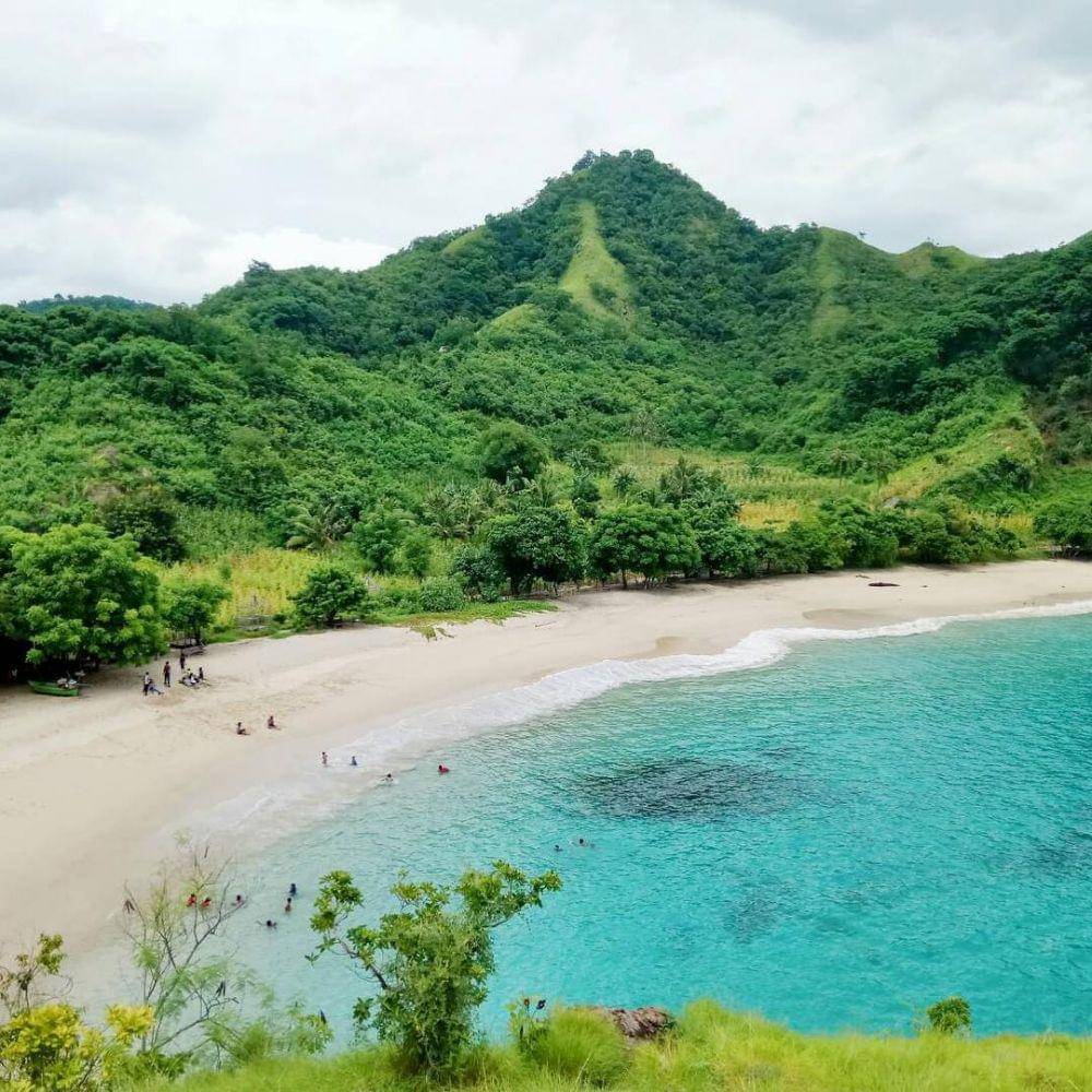 instagram.com/dearamygdala