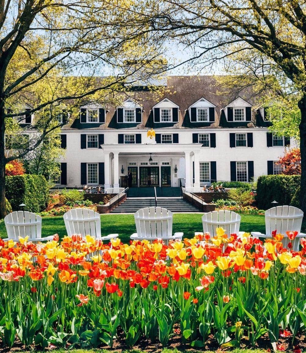 Instagram.com/jackiegreaney