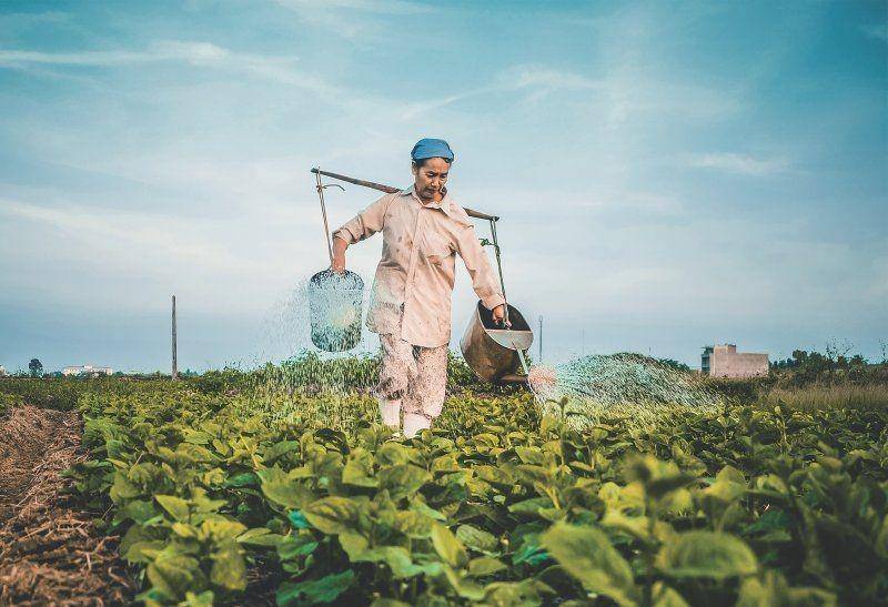 unsplash.com/Hung Nguyen Viet