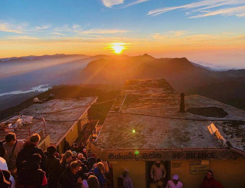 instagram.com/phoebe_longneck