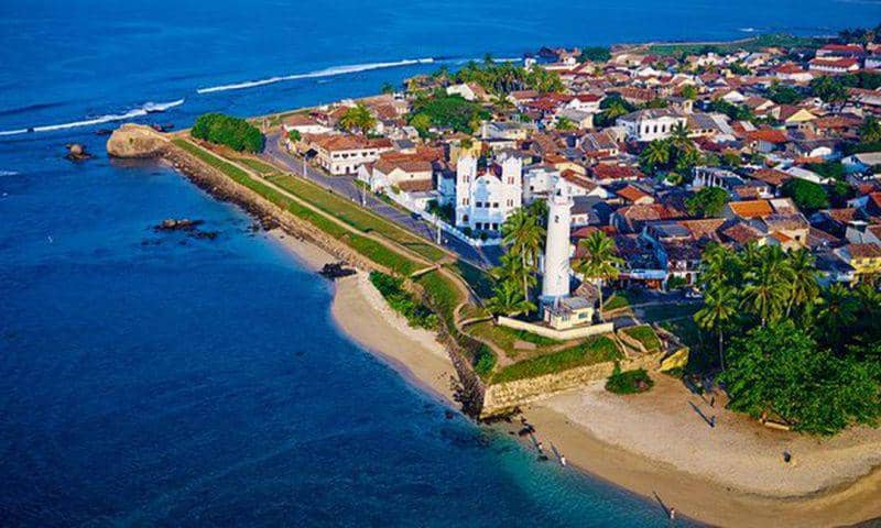 instagram.com/srilanka.tayafinch