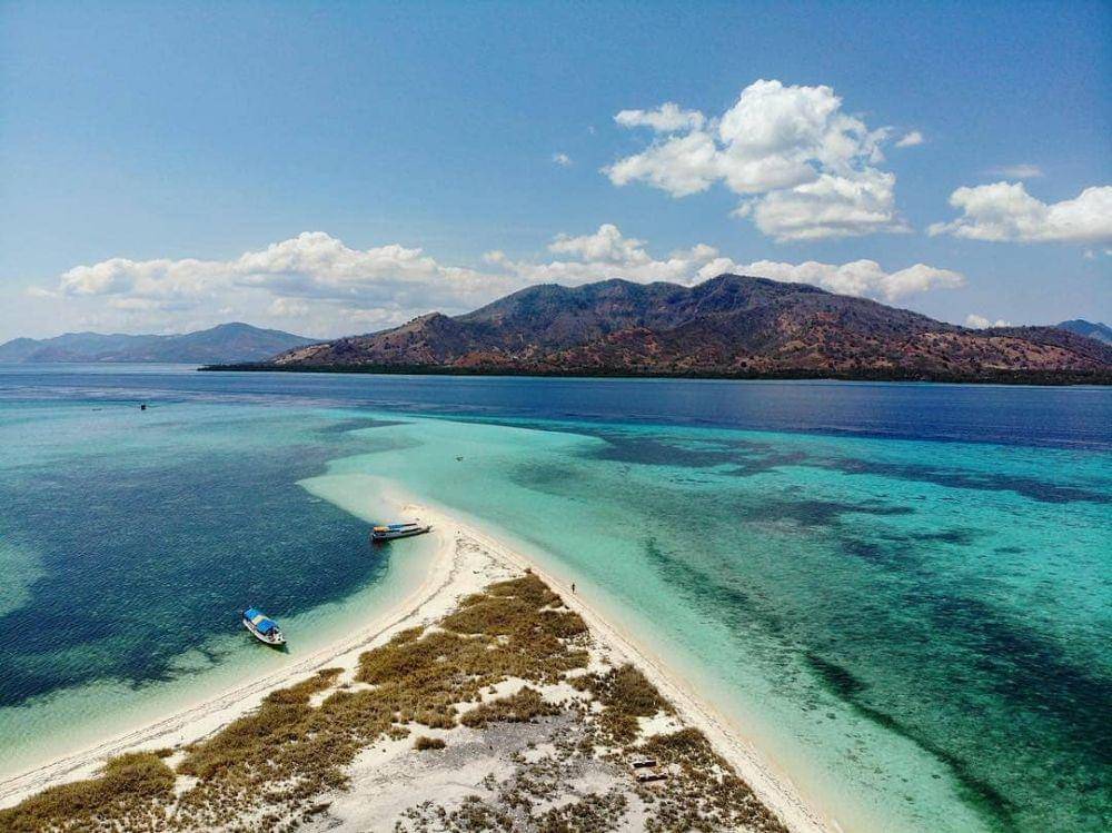 instagram.com/pigijo_