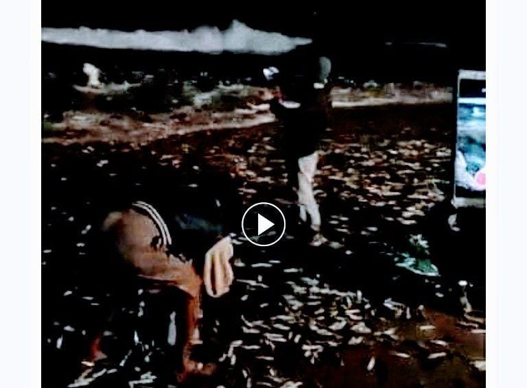 Facebook.com/Made Putra Arimbawa