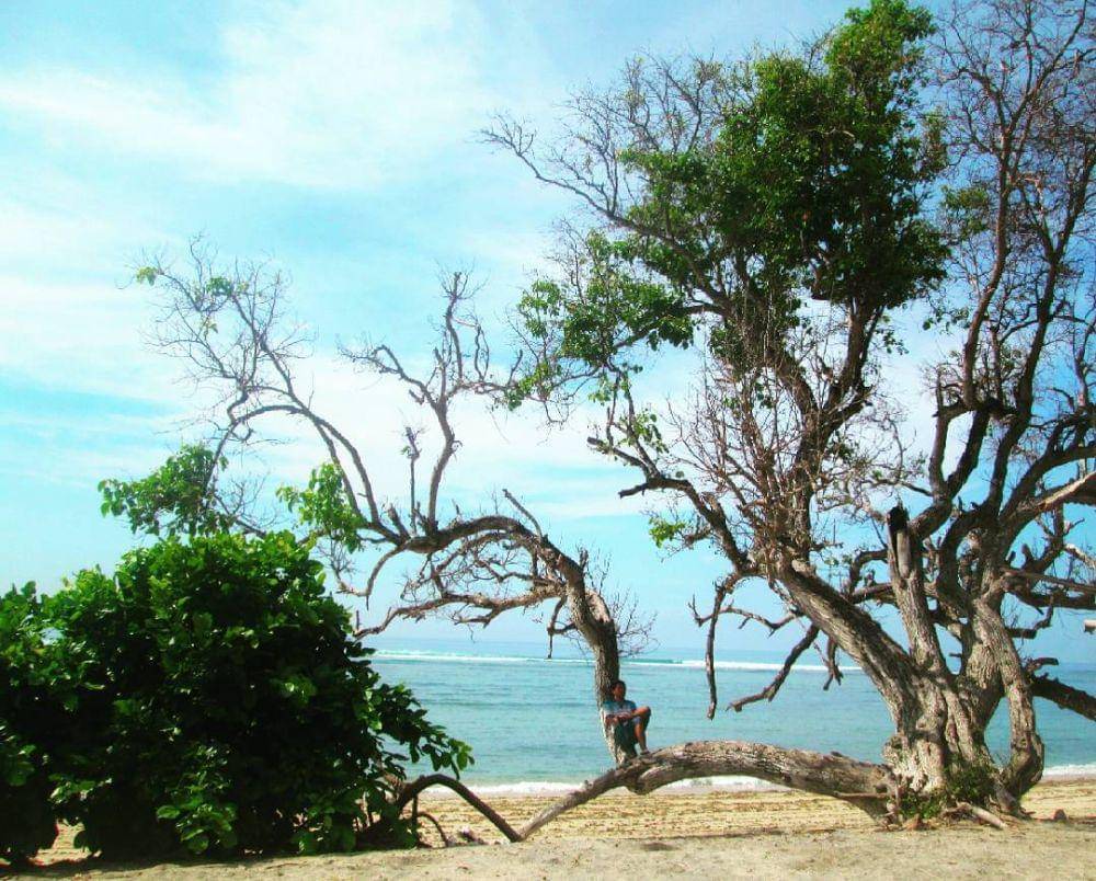 instagram.com/stefenslow