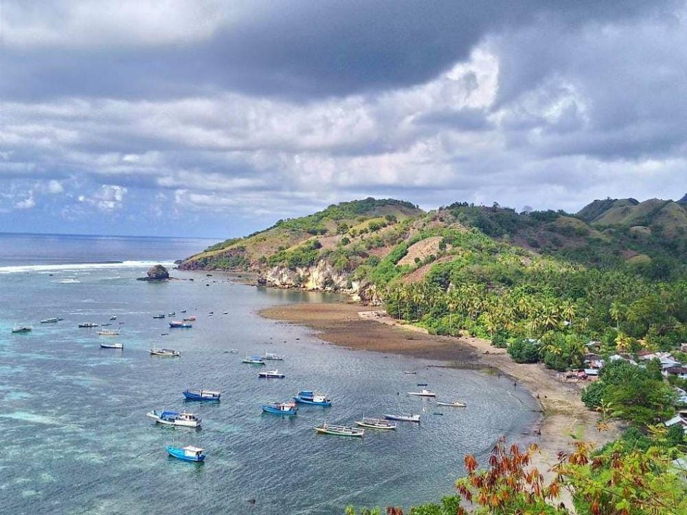 instagram.com/tanahtimur