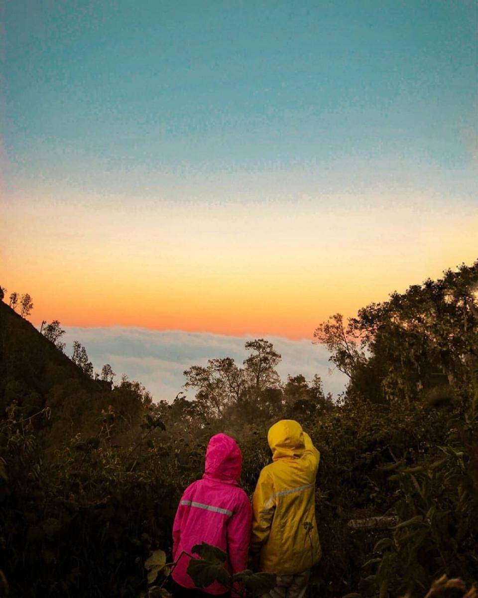 instagram.com/jsngfzl_