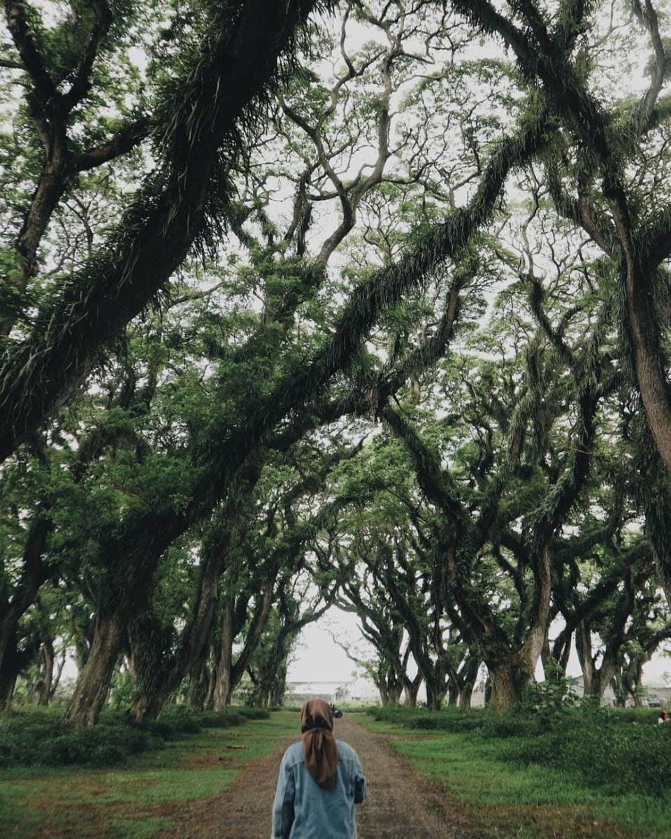 instagram.com/adnafisah