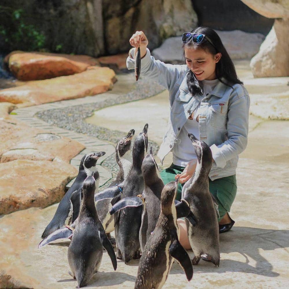 instagram.com/taman_safari