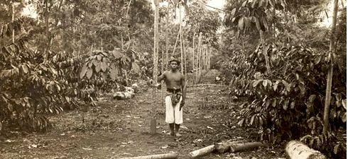 voxeurop.eu/Anonyme/Prentenkabinet Leiden