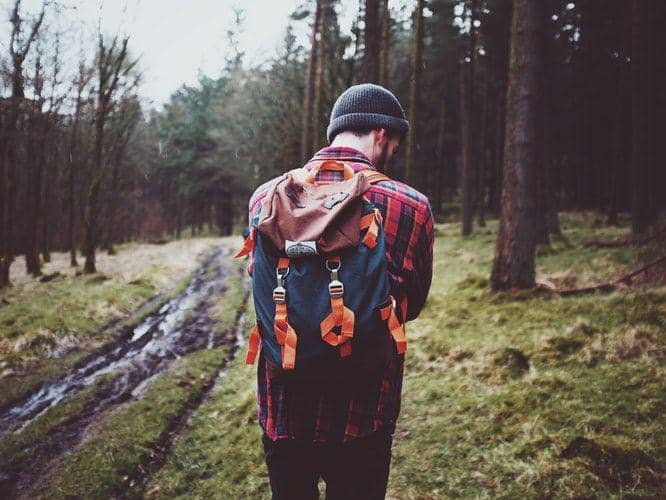 (Ilustrasi) Unsplash/@dan_scape