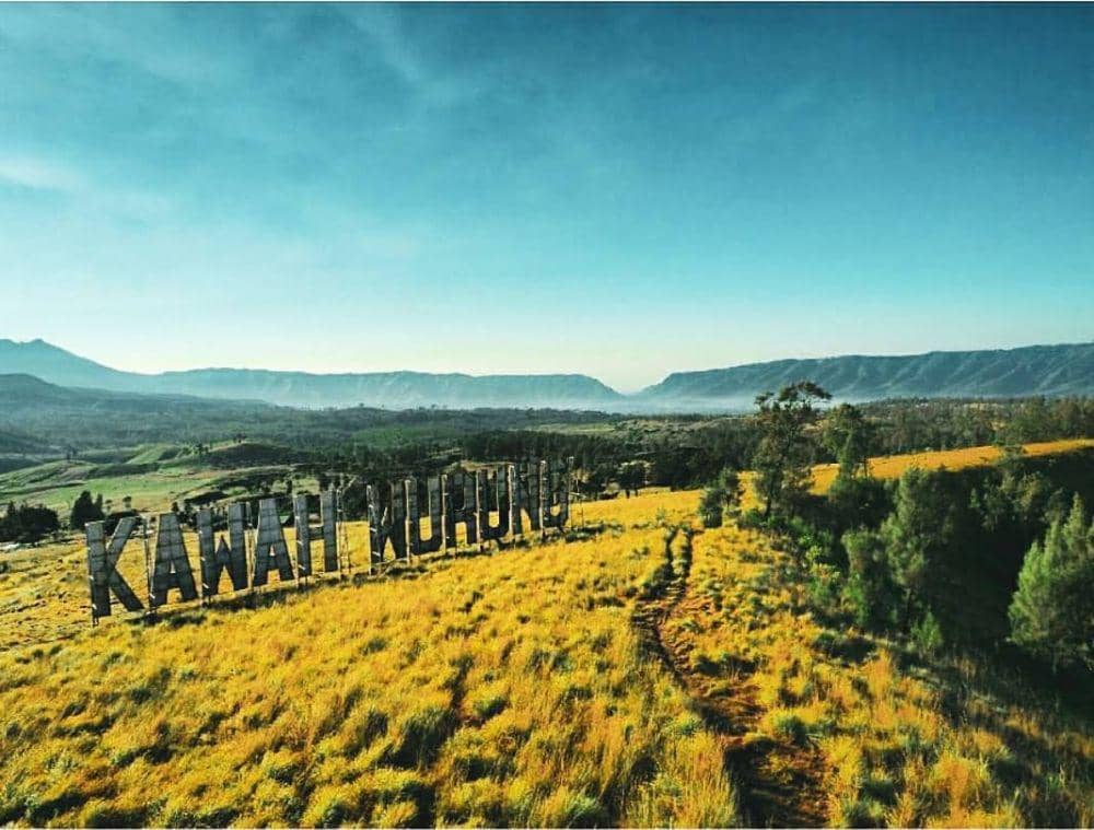 instagram.com/andrei.arnando