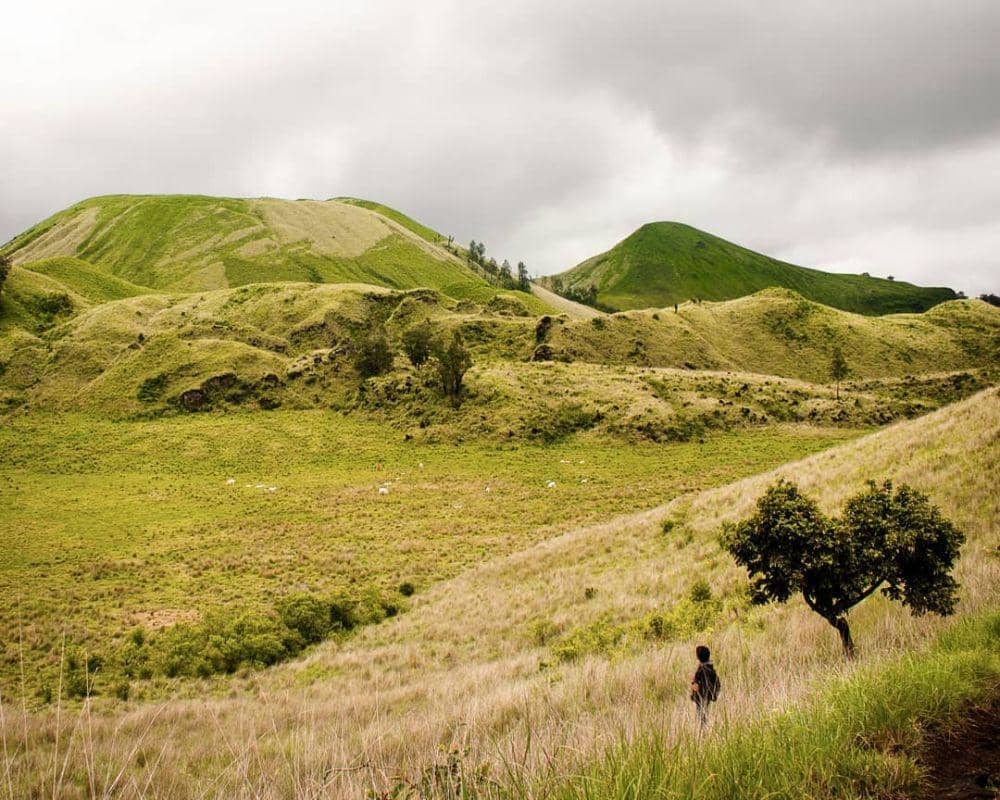 instagram.com/awik_kk