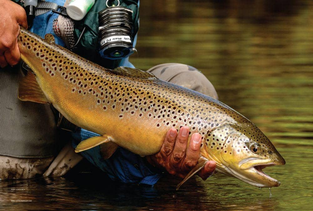 americanangler.com