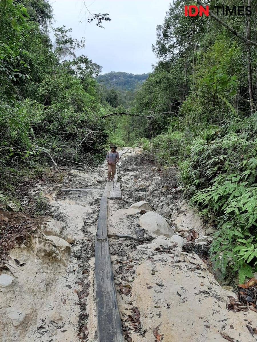 Ilustrasi (IDN Times/Sunariyah)