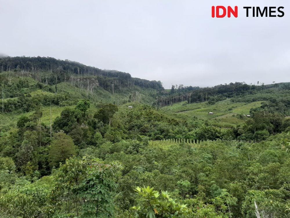 (Ilustrasi) IDN Times/Sunariyah