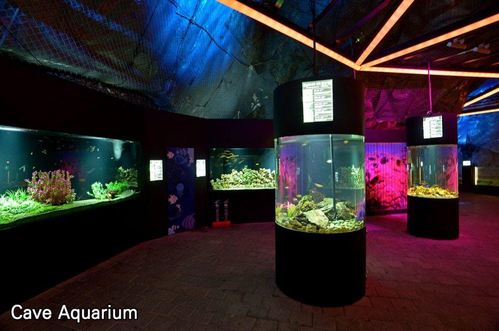 funko.s3.ap-northeast-2.amazonaws.com