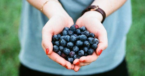 unsplash.com/andrew welch