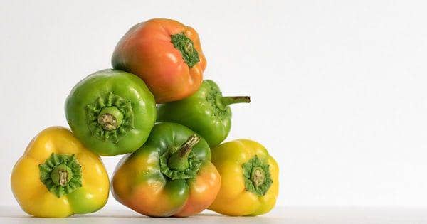 unsplash.com/Ashkan Forouzani 🇮🇷