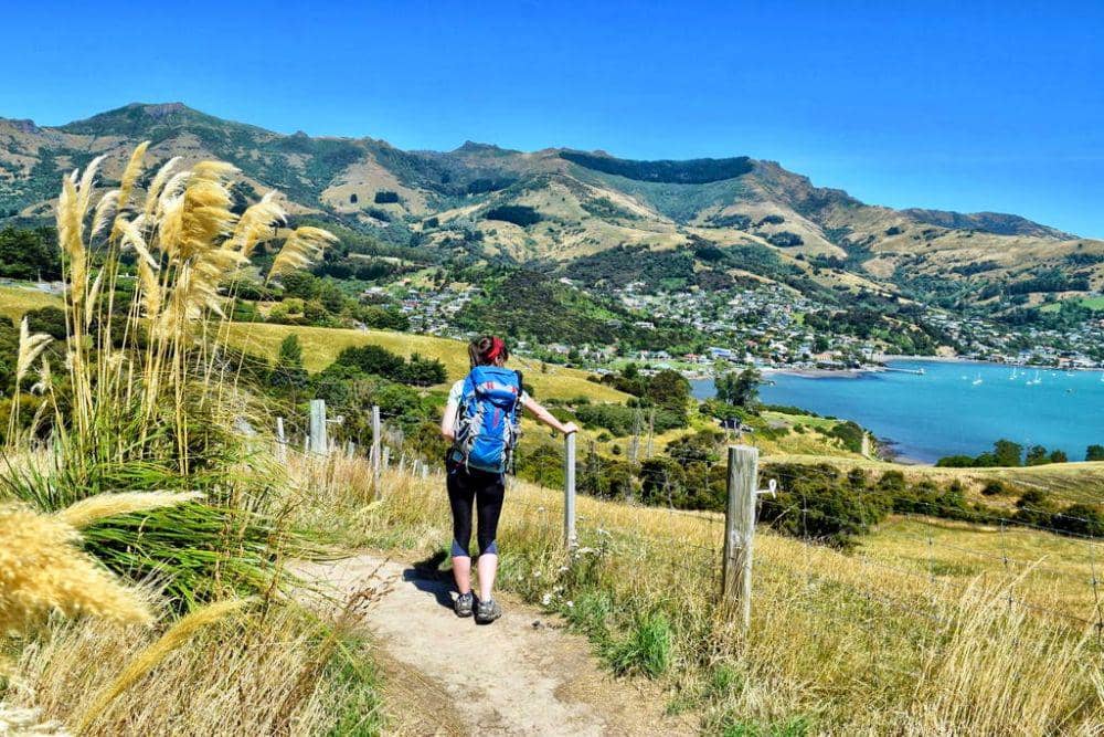 backpackerguide.nz