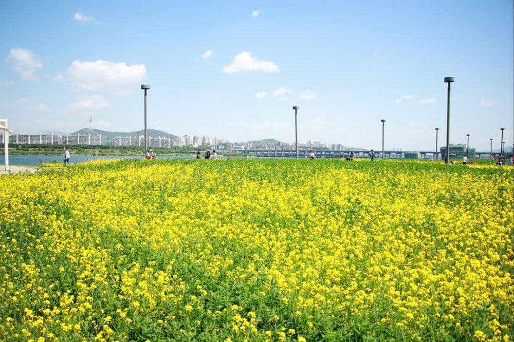 instagram.com/iseoulu