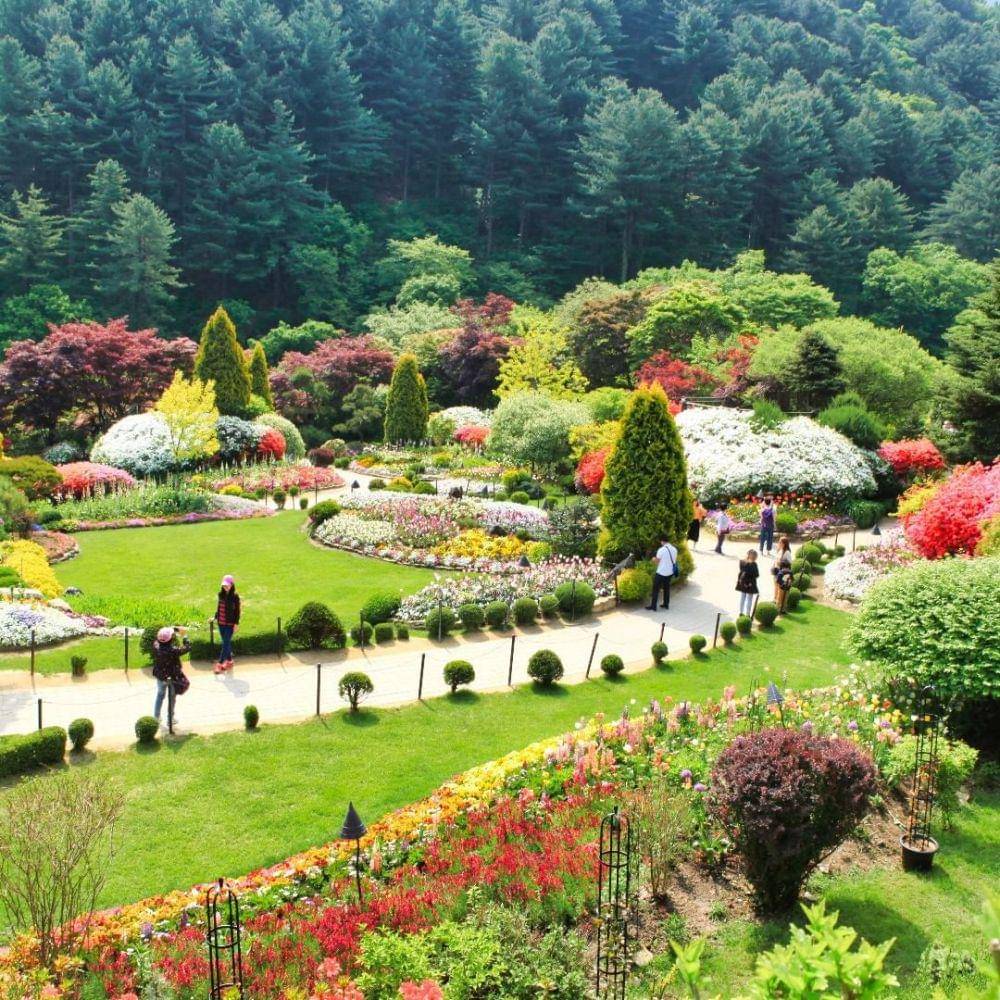 instagram.com/morningcalm_garden