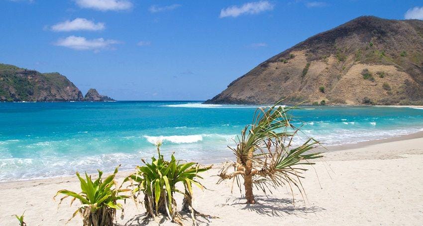 pinterest.com/jingalingli