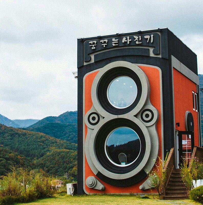 thereshegoesagain.org