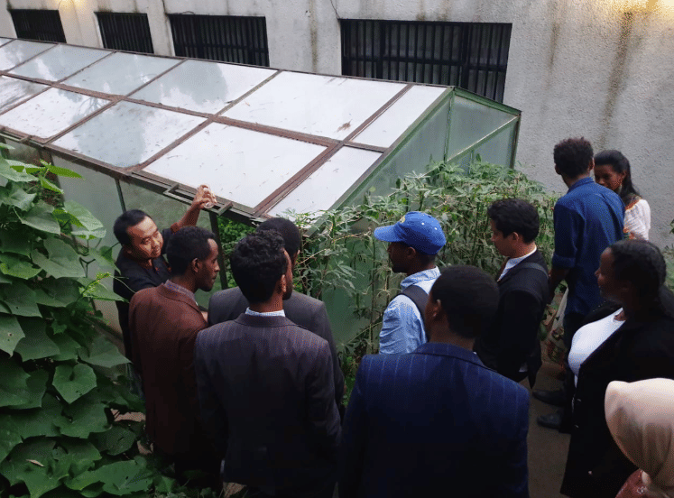 Dok. IDN Times/Istimewa