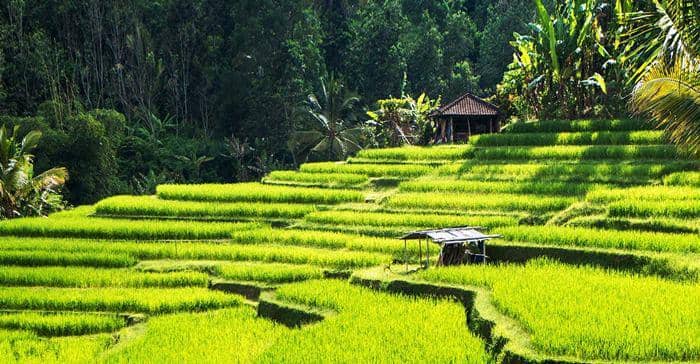 bali-indonesia.com
