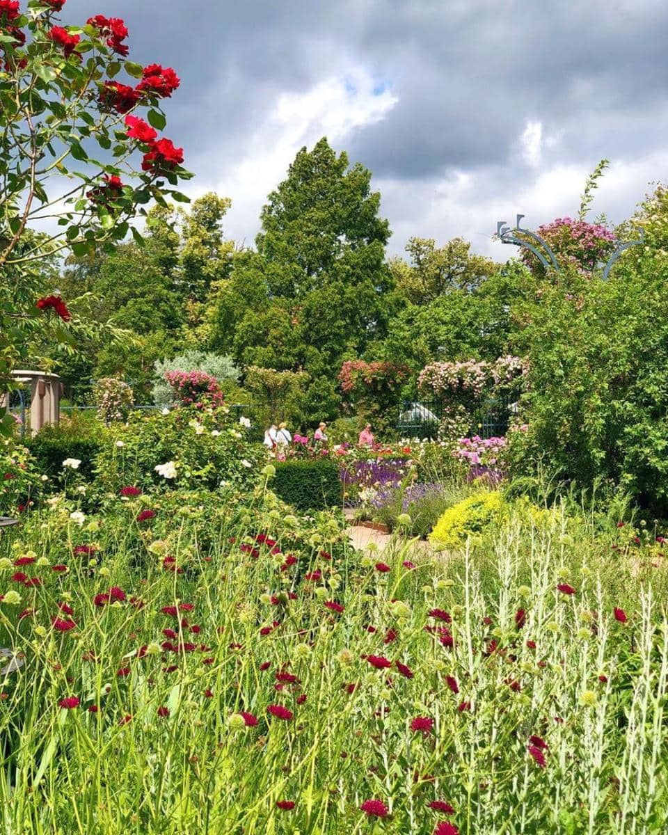 instagram.com/neshalim